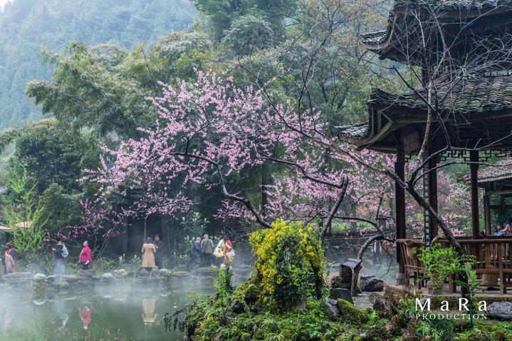 斗战神