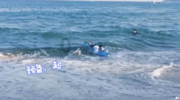 救援受困的老虎