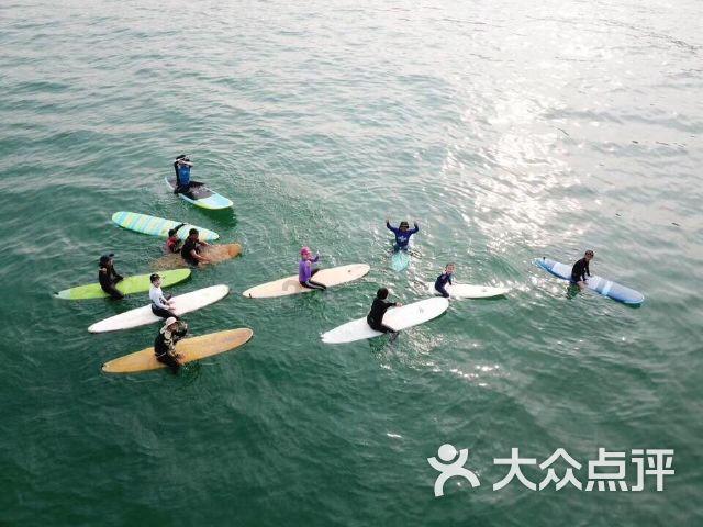 逗小猴开心系列188