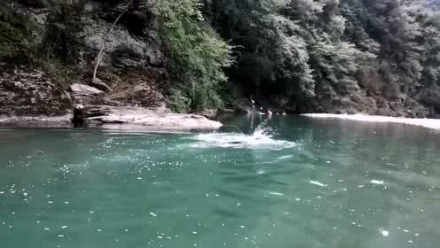 喝酸奶可以减肥吗？游戏画面